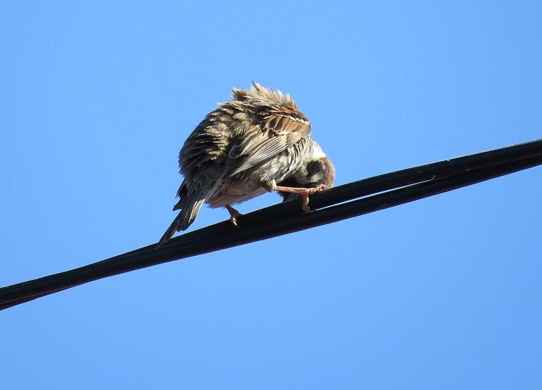 �������-��������� ) ����� Natali  ��������� �� PhotoGeek.ru #�������� ��� #����� ��� ��� ���������