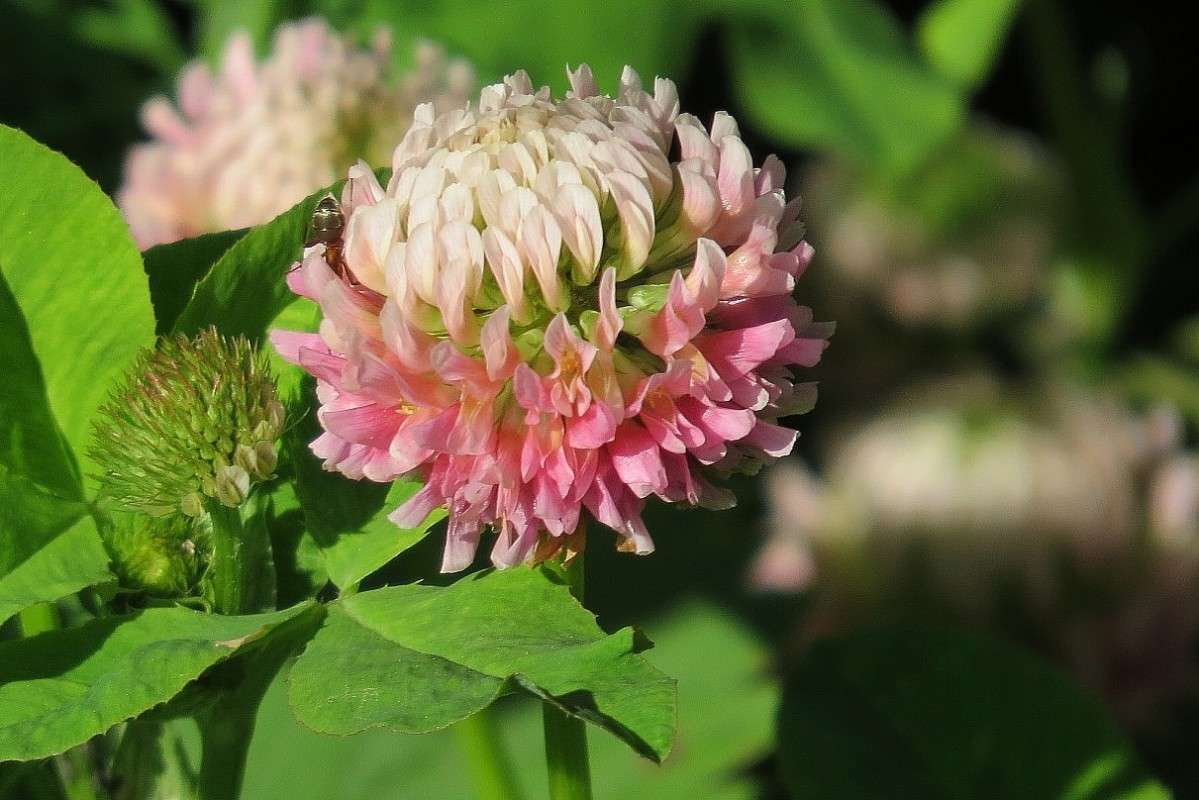 �������� ))) ����� Natali  ��������� �� PhotoGeek.ru #������ ��� ������� #����� ��������������