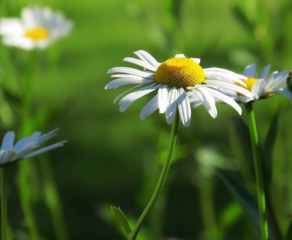 ... ����� Natali  ��������� �� PhotoGeek.ru #������ ��� ������� #����� ��������������