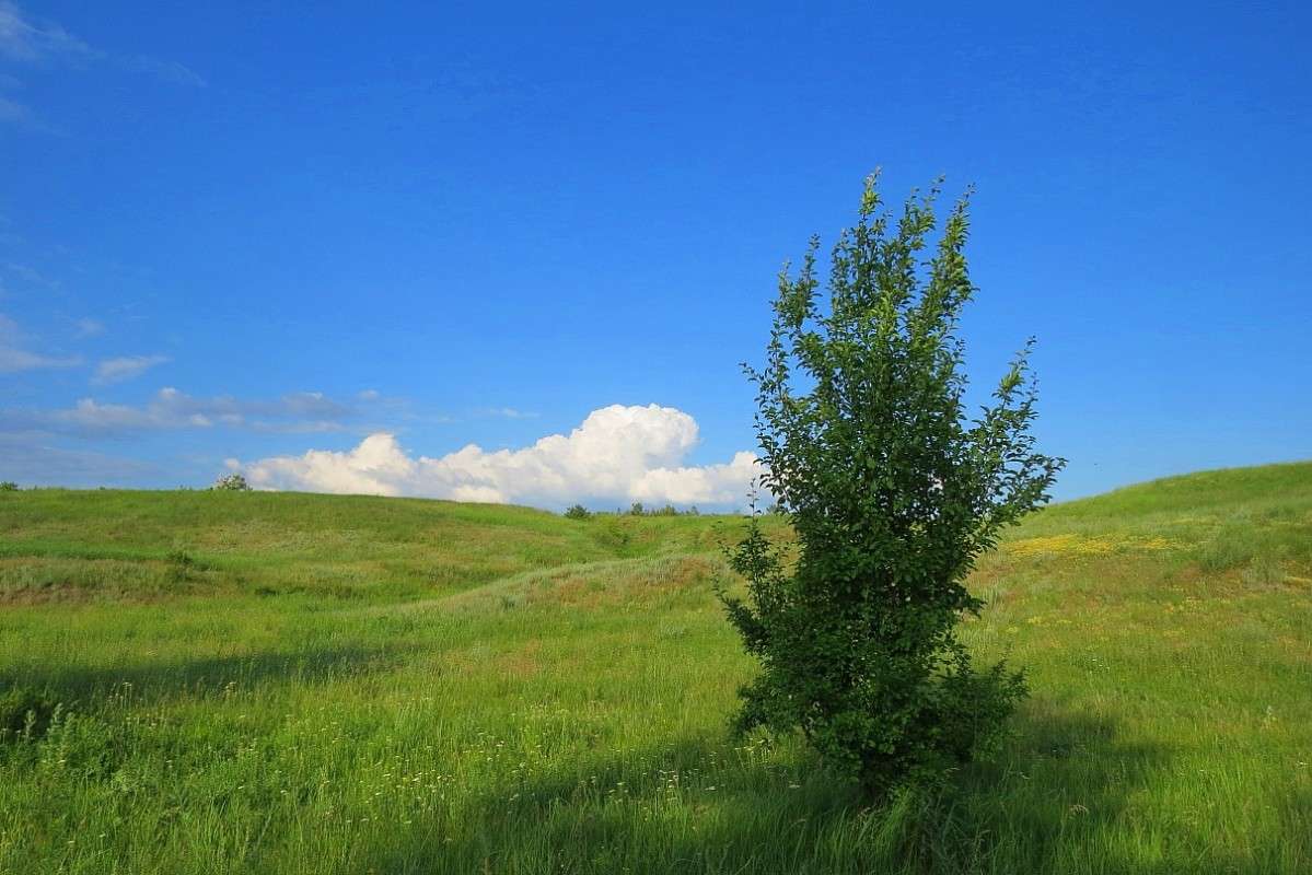 � ���� � ���� ���� ... ))) ����� Natali  ��������� �� PhotoGeek.ru #������ ��� �������