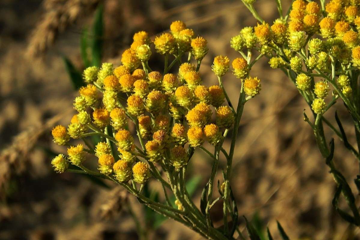 ... ����� Natali  ��������� �� PhotoGeek.ru #������ ��� ������� #����� ��������������