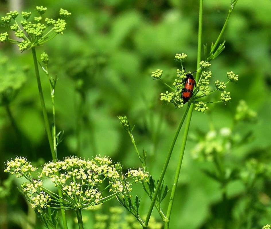 ... ����� Natali  ��������� �� PhotoGeek.ru #������ ��� ������� #����� ��������������