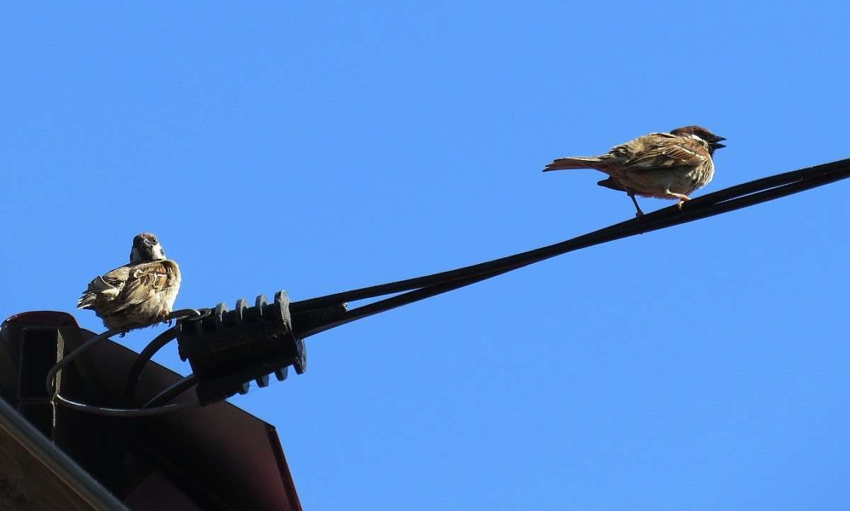 �������� ������ ))) ����� Natali  ��������� �� PhotoGeek.ru #�������� ��� #����� ��� ��� ���������