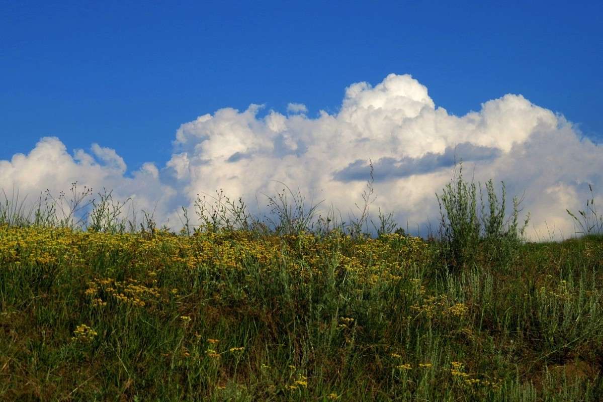 ����� ������ ... ))) ����� Natali  ��������� �� PhotoGeek.ru #������ ��� �������