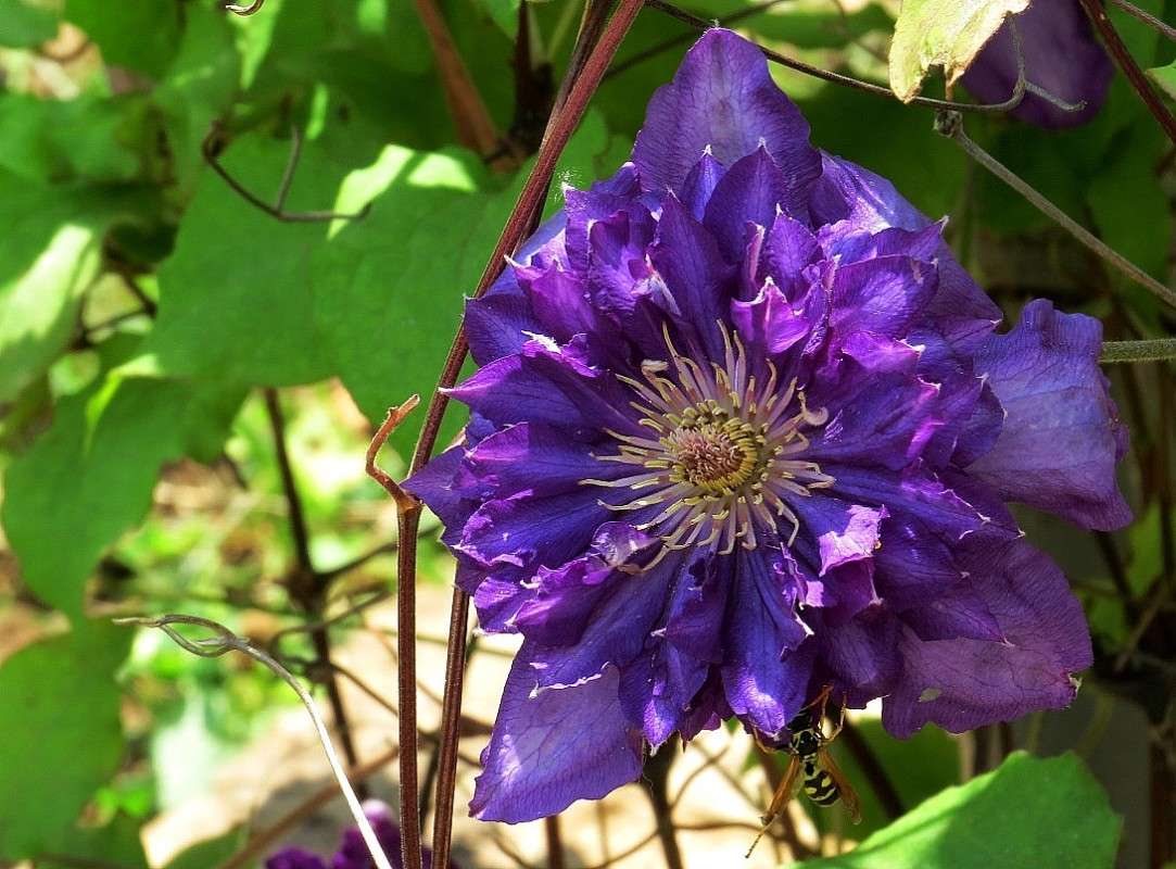 ... ����� Natali  ��������� �� PhotoGeek.ru #������ ��� ������� #����� ��������������