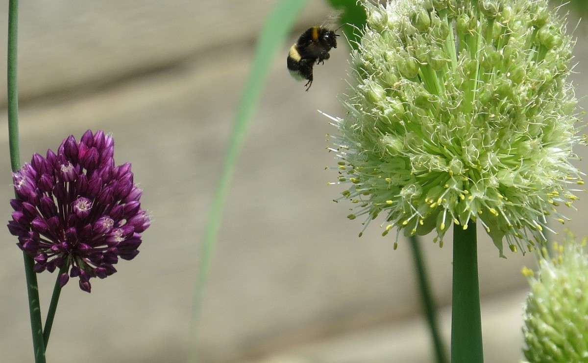 �� ����� ��� ����� ))) ����� Natali  ��������� �� PhotoGeek.ru #������ ��� ������� #����� ��������������