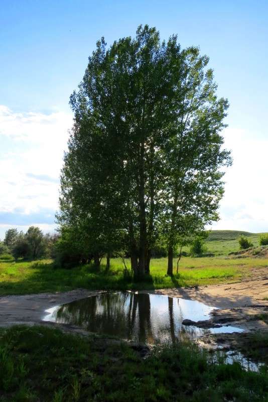 � ����� ����� Natali  ��������� �� PhotoGeek.ru #������ ��� ������� #����� ��������������