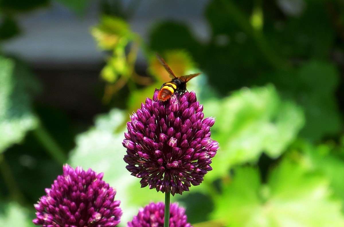 ������� ))) ����� Natali  ��������� �� PhotoGeek.ru #������ ��� ������� #����� ��������������