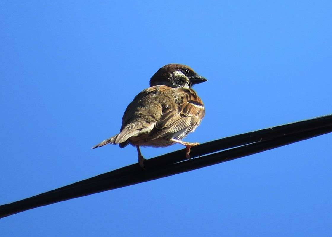 � ���� �������, �� ��� ����� ))) ����� Natali  ��������� �� PhotoGeek.ru #�������� ��� #����� ��� ��� ���������