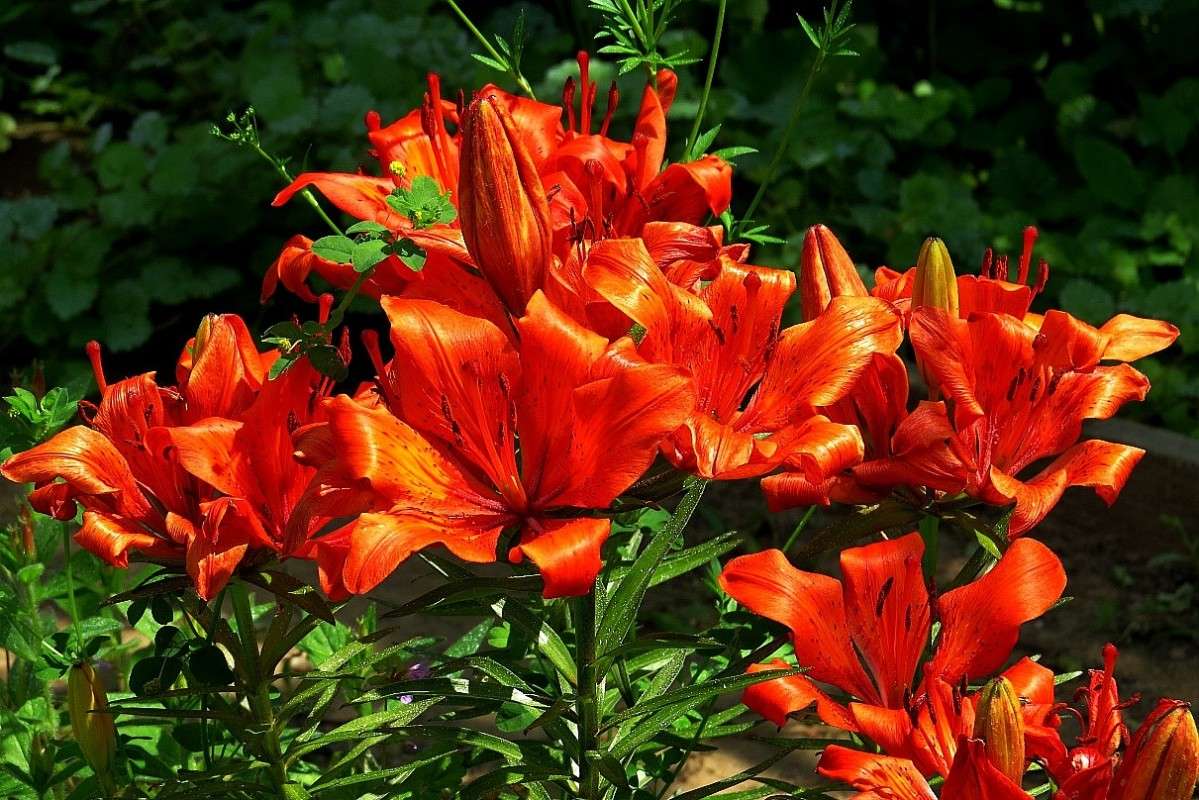 ����� ))) ����� Natali  ��������� �� PhotoGeek.ru #������ ��� ������� #����� ��������������