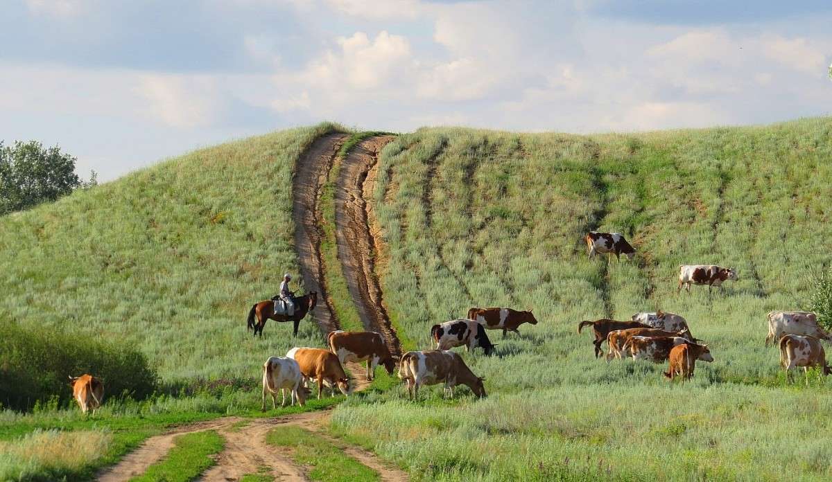 � ������� ������� (������ �������) ����� Natali  ��������� �� PhotoGeek.ru #�������� ��� #������ ��� ������� #�������� ���������� #�������� #�������������� ���� #�������� ��� #����� ��������������