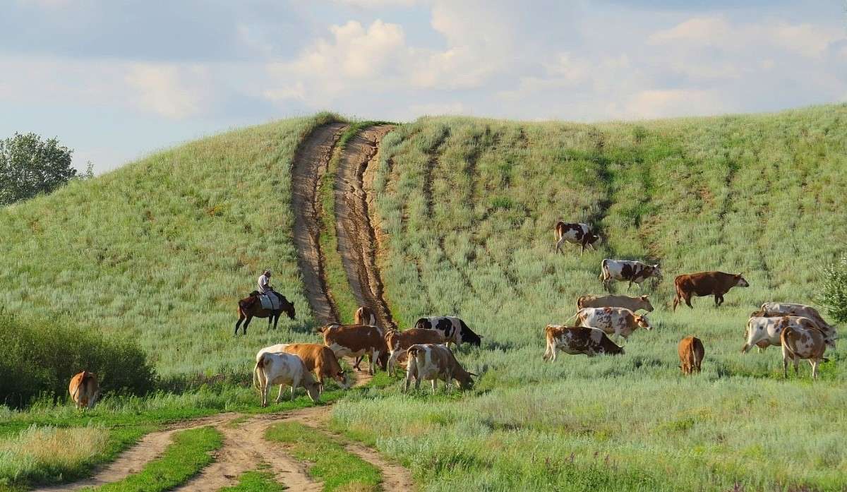 � ���� http://www.photogeek.ru/photos/155181/ ����� Natali  ��������� �� PhotoGeek.ru #�������� ��� #������ ��� ������� #�������� ���������� #�������� #�������� ���