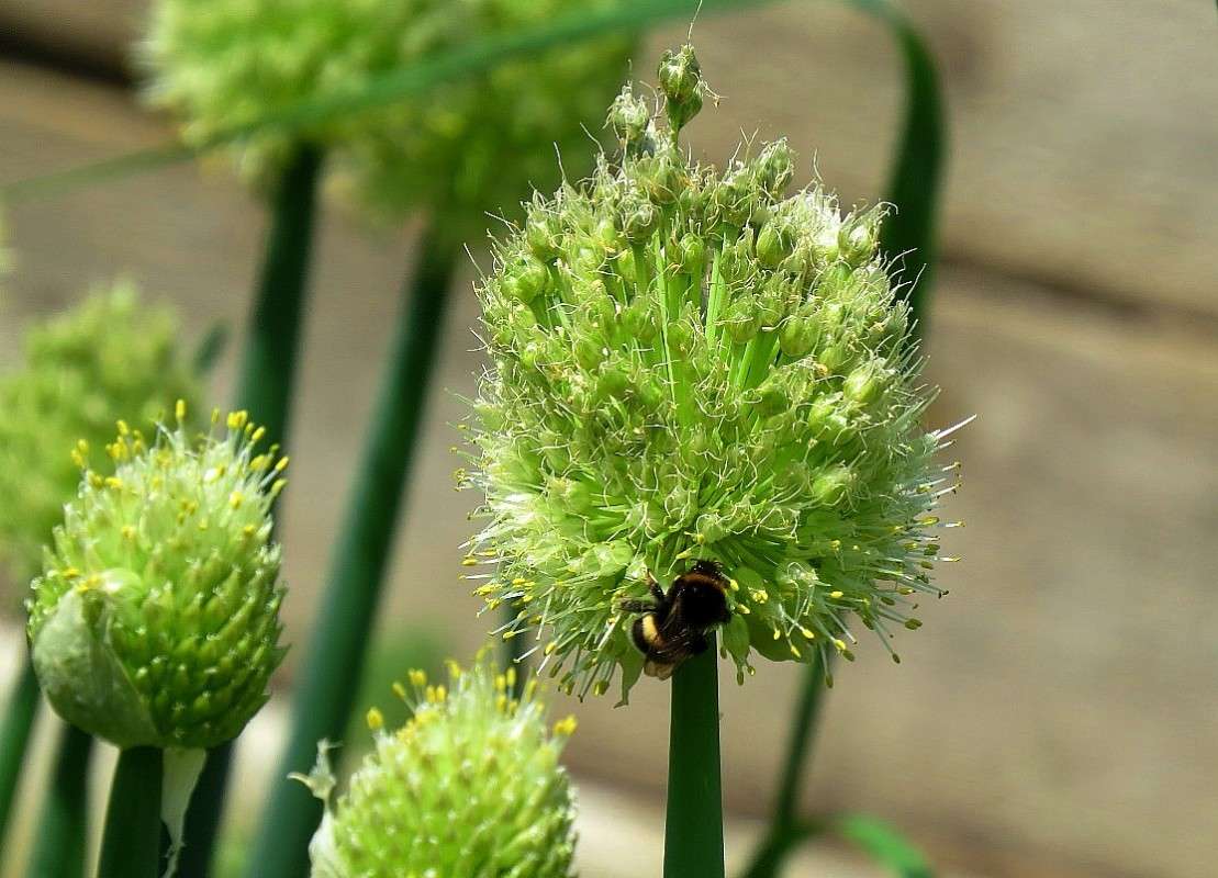 ... ����� Natali  ��������� �� PhotoGeek.ru #������ ��� ������� #����� ��������������