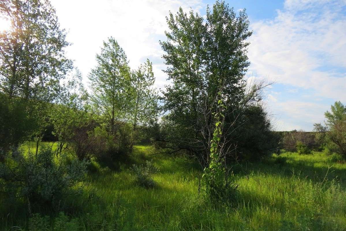 ��, ���� ... ) ����� Natali  ��������� �� PhotoGeek.ru #������ ��� ������� #����� ��������������