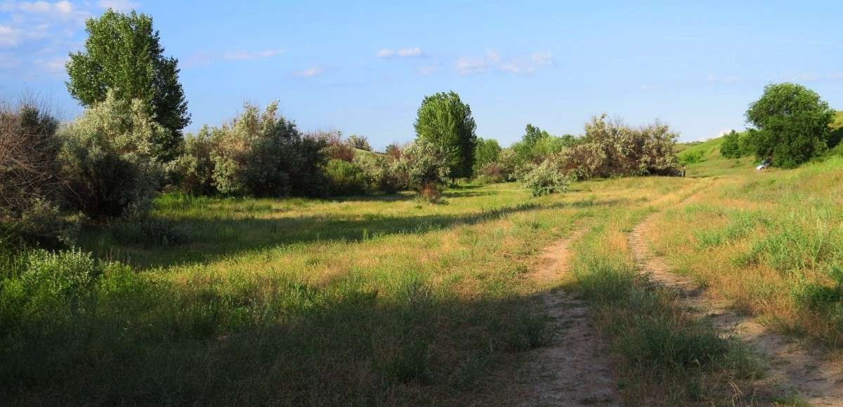 � ������� ������ ))) ����� Natali  ��������� �� PhotoGeek.ru #������ ��� ������� #����� ��������������