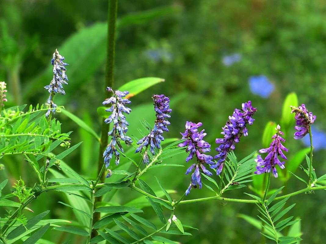 ... ����� Natali  ��������� �� PhotoGeek.ru #������ ��� ������� #����� ��������������