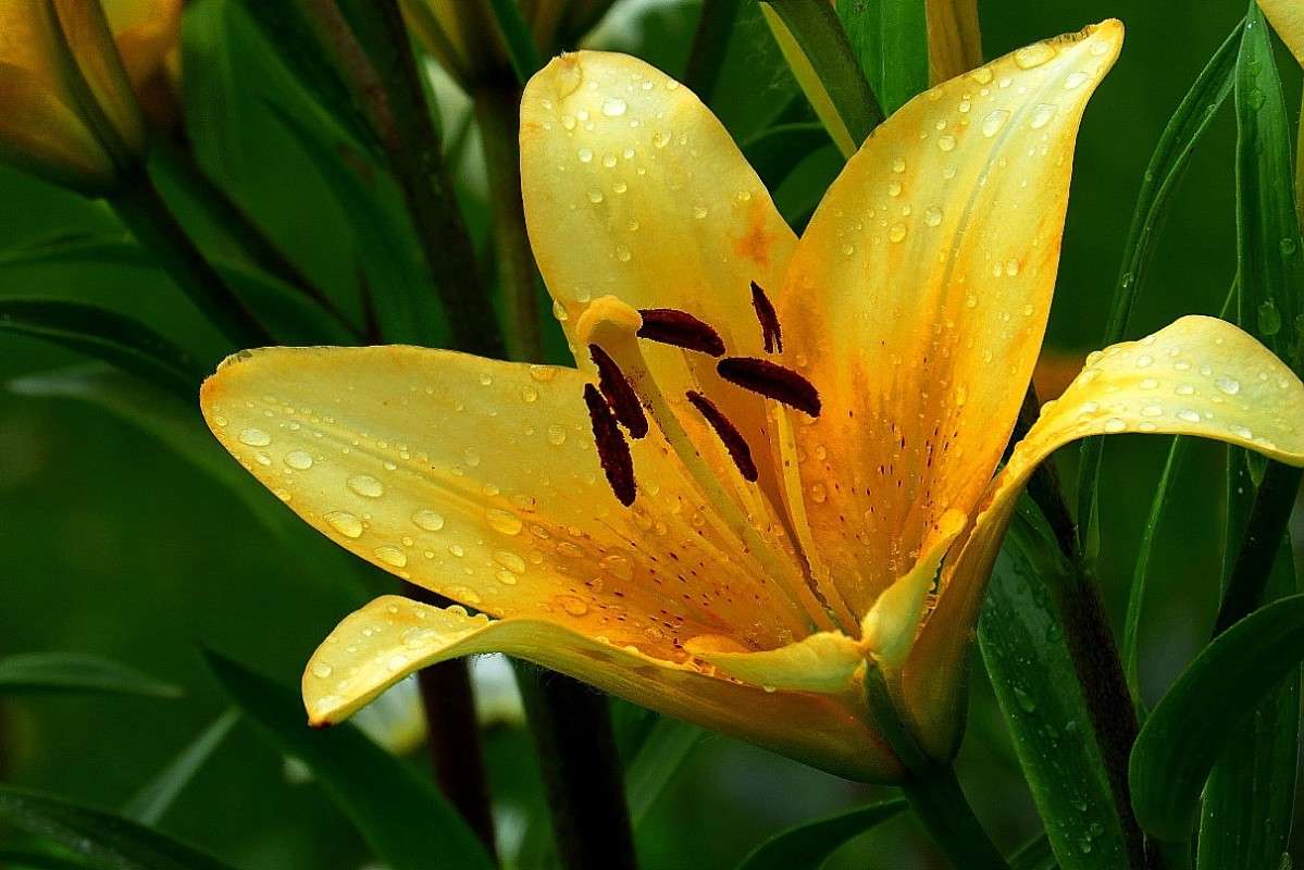 ��������� ������� ����� Natali  ��������� �� PhotoGeek.ru #������ ��� ������� #����� ��������������