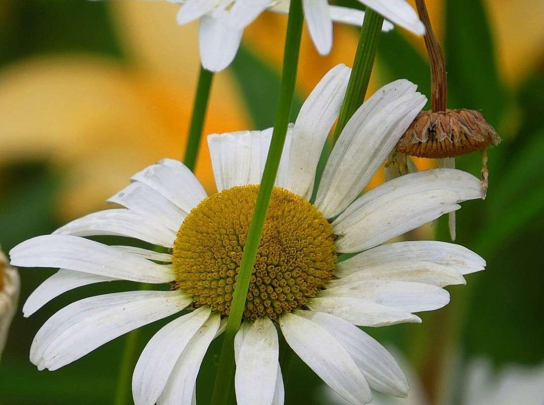 ��������� ((( ����� Natali  ��������� �� PhotoGeek.ru #������ ��� ������� #����� ��������������