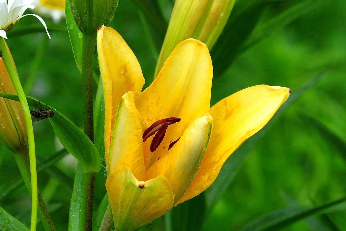 ��������� ������� 3 ))) ����� Natali  ��������� �� PhotoGeek.ru #������ ��� ������� #����� ��������������