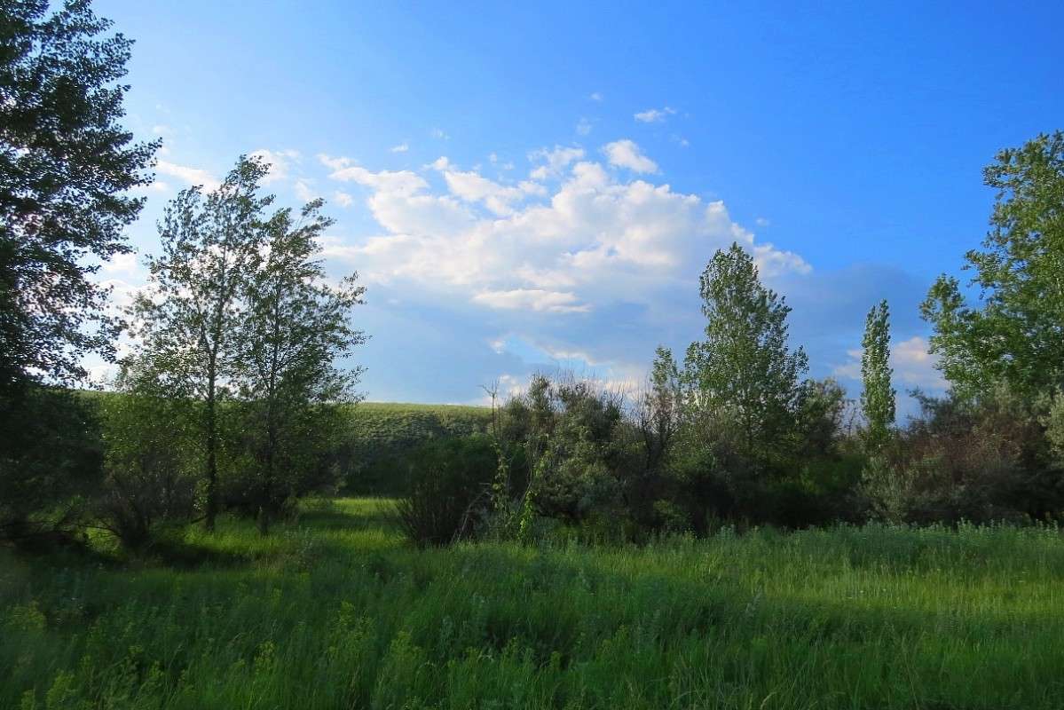 ���� ����� Natali  ��������� �� PhotoGeek.ru #������ ��� ������� #����� ��������������