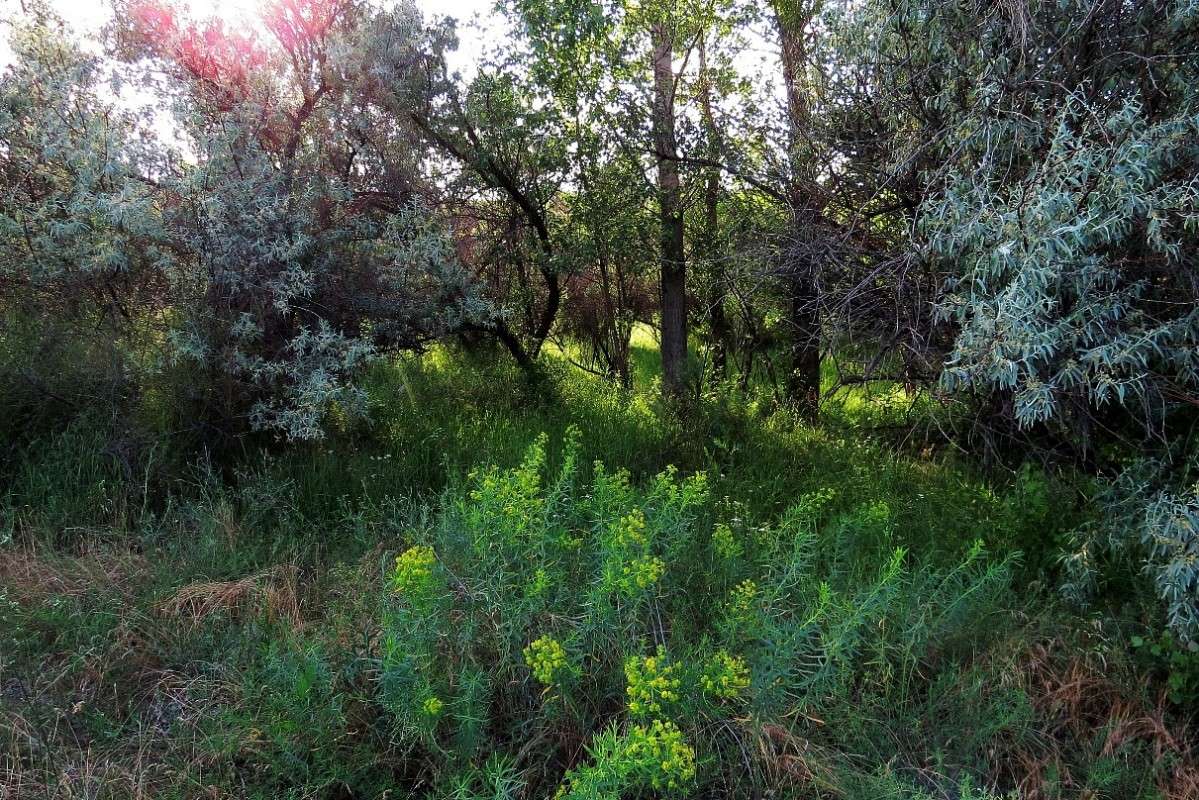 ���� 2 ����� Natali  ��������� �� PhotoGeek.ru #������ ��� ������� #����� ��������������