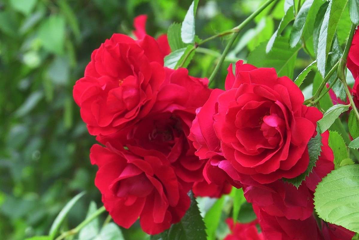 ... ����� Natali  ��������� �� PhotoGeek.ru #������ ��� ������� #����� ��������������