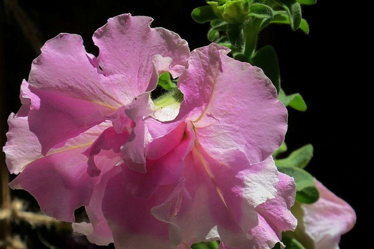 ����-������� ����� ))) ����� Natali  ��������� �� PhotoGeek.ru #������ ��� ������� #����� ��������������