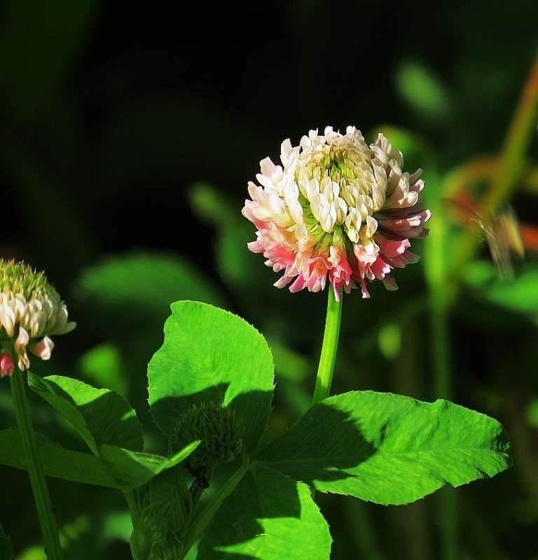 ... ����� Natali  ��������� �� PhotoGeek.ru #������ ��� ������� #����� ��������������