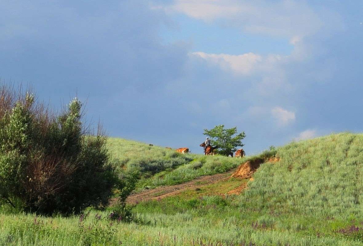 �������� ))) ����� Natali  ��������� �� PhotoGeek.ru #������ ��� ������� #�������� ����������