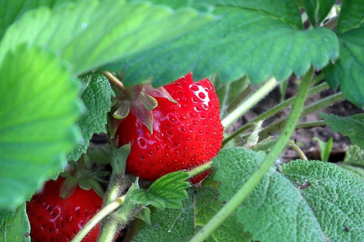 ... ����� Natali  ��������� �� PhotoGeek.ru #������ ��� ������� #����� ��������������