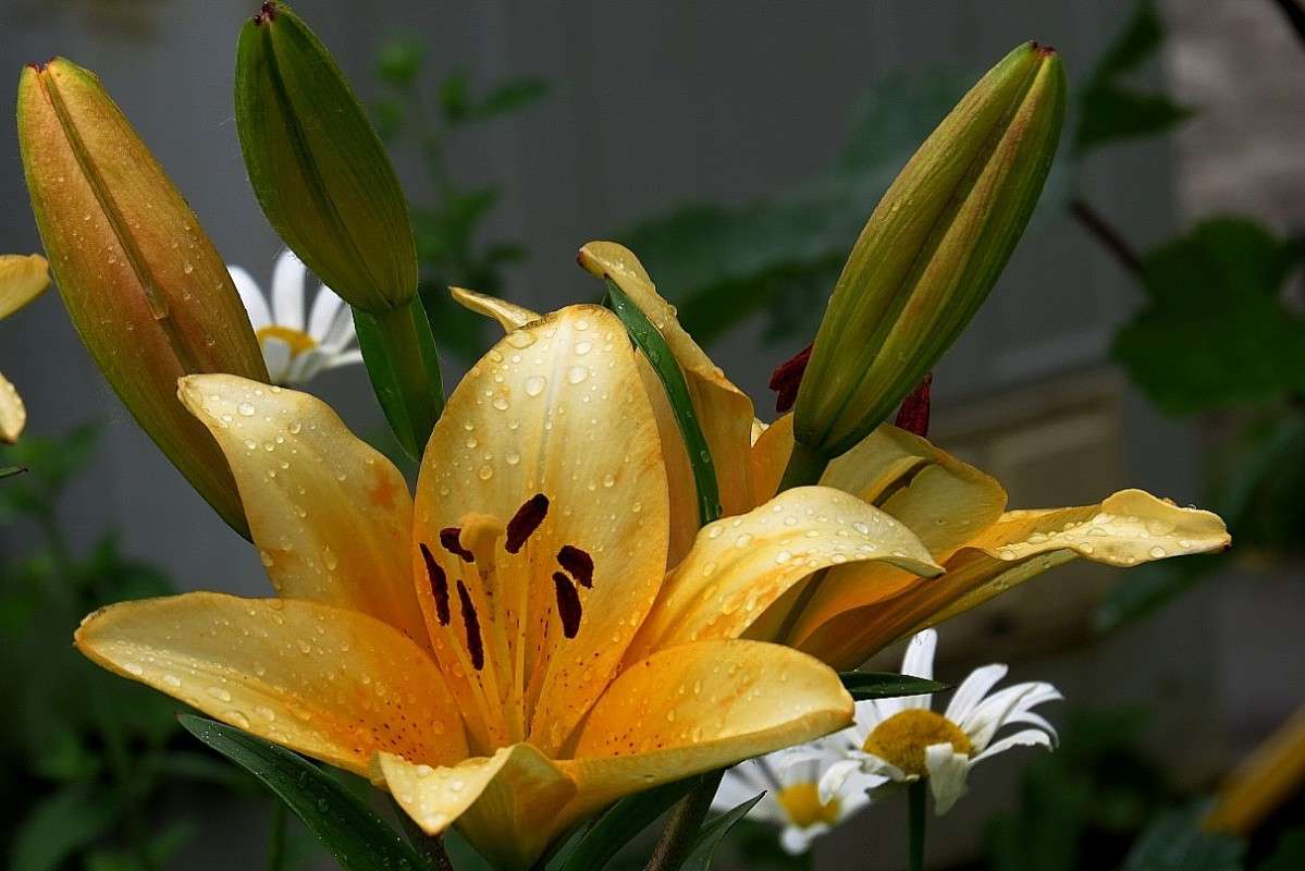 ... ����� Natali  ��������� �� PhotoGeek.ru #������ ��� ������� #����� ��������������