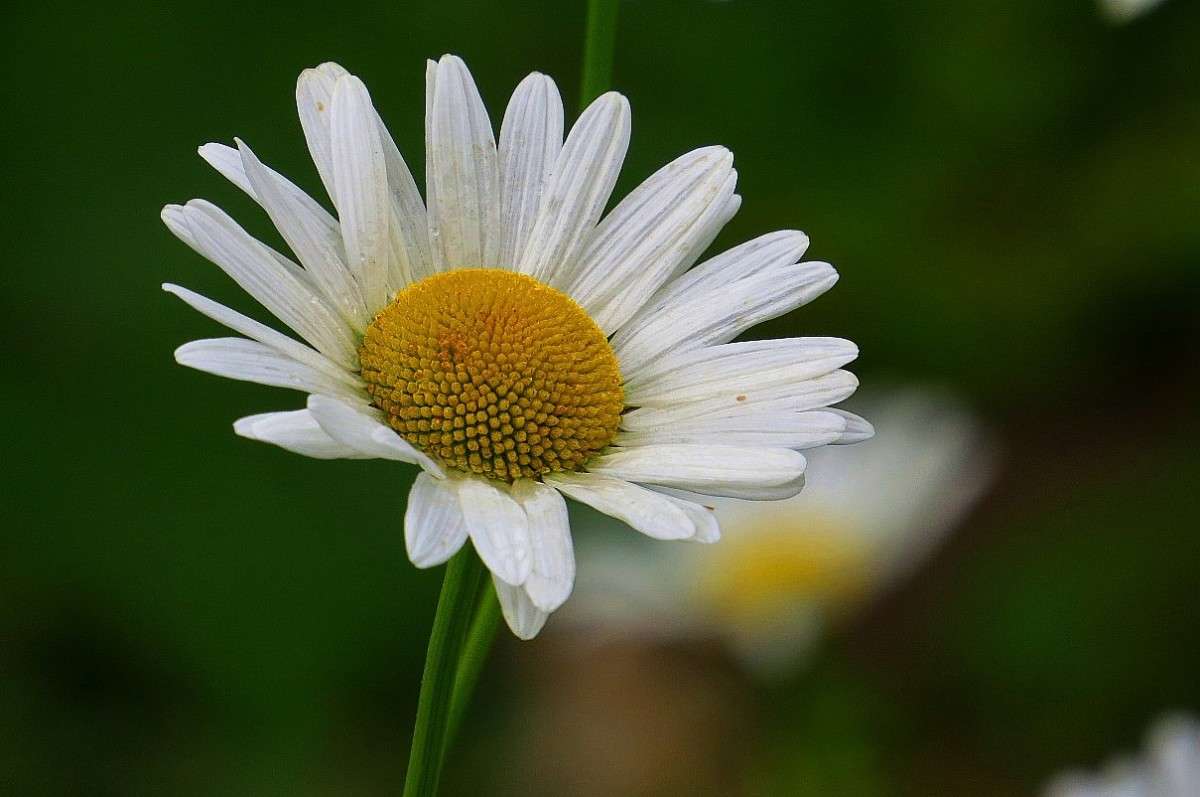 �������� ?! ))) ����� Natali  ��������� �� PhotoGeek.ru #������ ��� ������� #����� ��������������