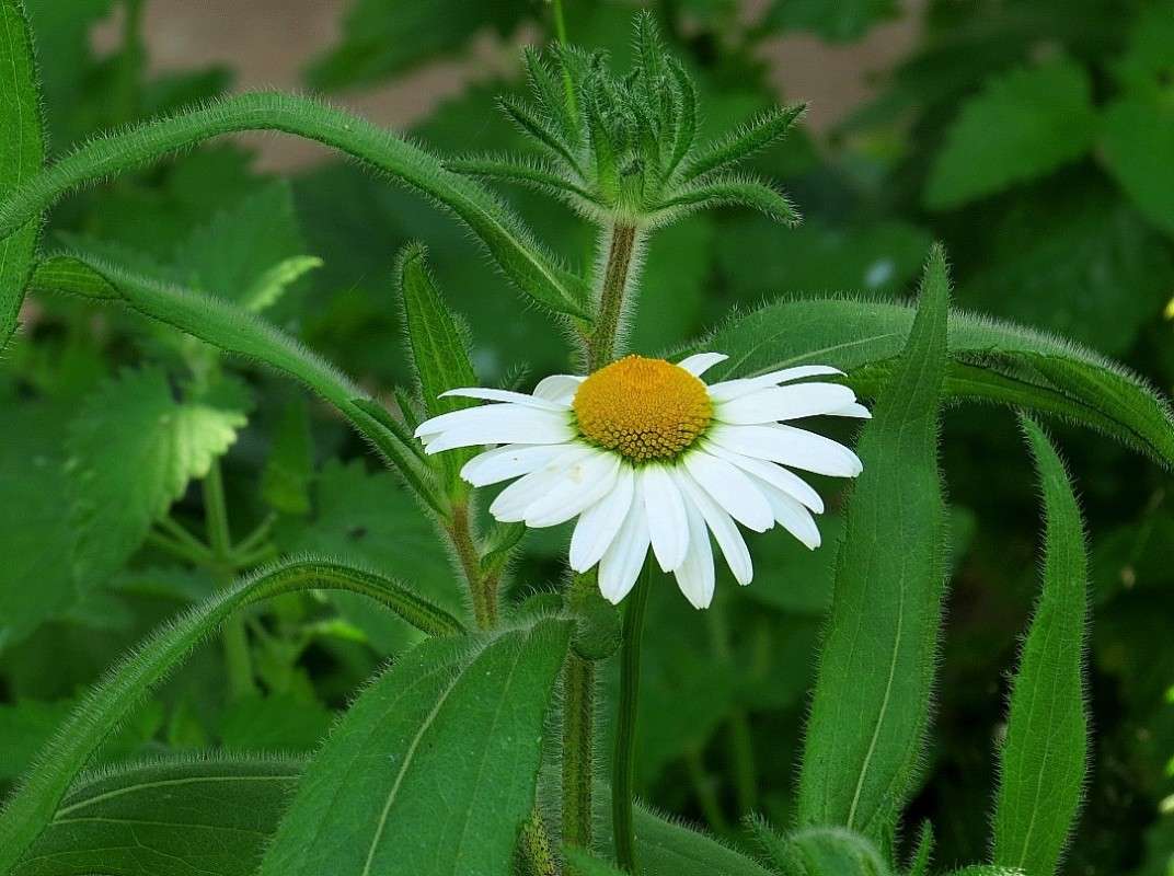 � ������� �������� ! ))) ����� Natali  ��������� �� PhotoGeek.ru #������ ��� ������� #����� ��������������