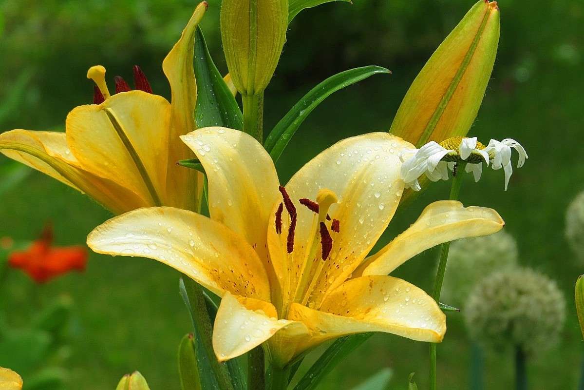 ��������-�, ������� ! ))) ����� Natali  ��������� �� PhotoGeek.ru #������ ��� ������� #����� ��������������