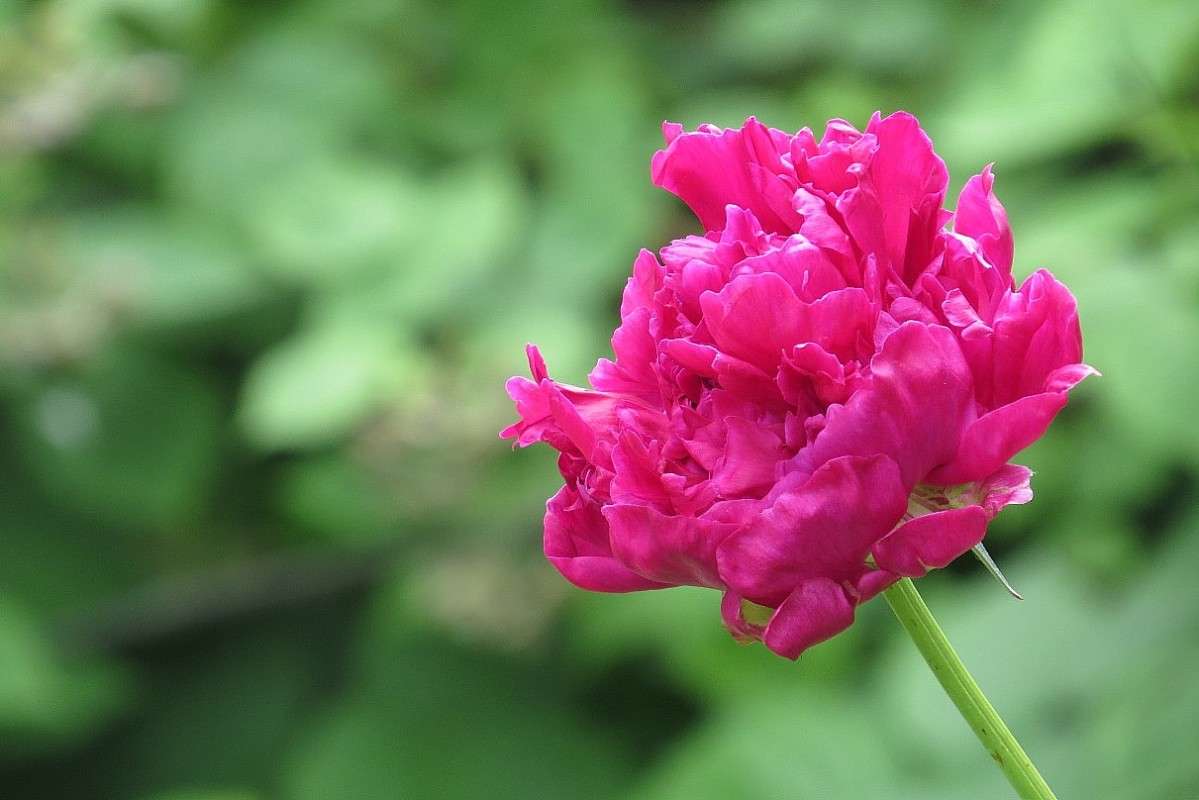 ����� �������� ) ����� Natali  ��������� �� PhotoGeek.ru #������ ��� ������� #����� ��������������