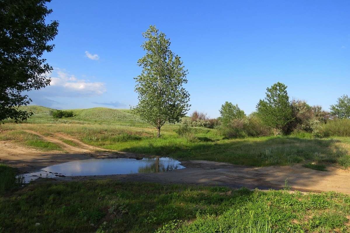 ... ����� Natali  ��������� �� PhotoGeek.ru #������ ��� ������� #����� ��������������