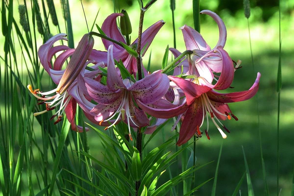 � ������� 3 ))) ����� Natali  ��������� �� PhotoGeek.ru #������ ��� ������� #����� ��������������