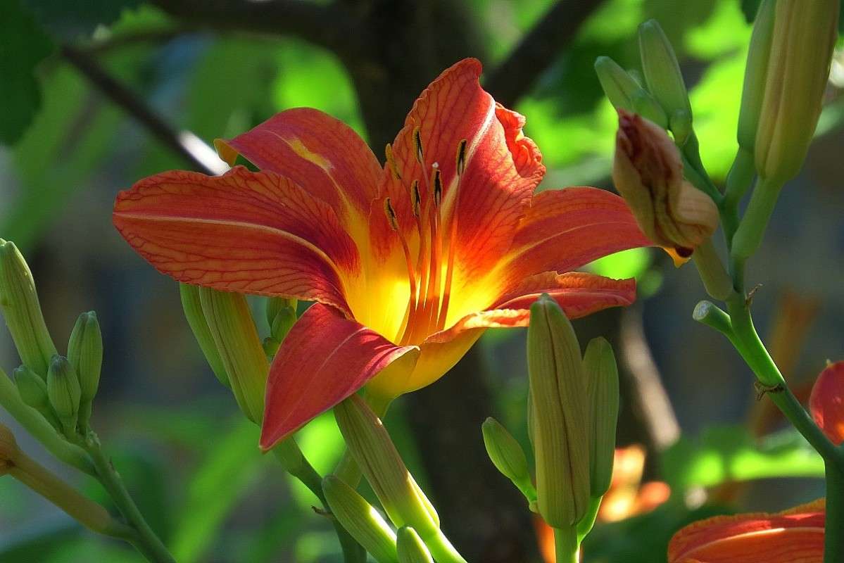 � ������� ))) ����� Natali  ��������� �� PhotoGeek.ru #������ ��� ������� #����� ��������������