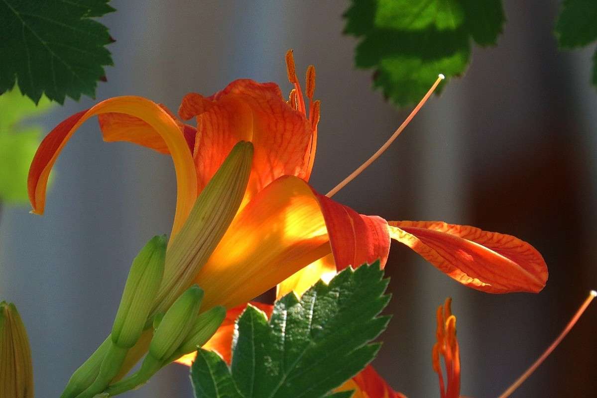 � ������� 2 ))) ����� Natali  ��������� �� PhotoGeek.ru #������ ��� ������� #����� ��������������