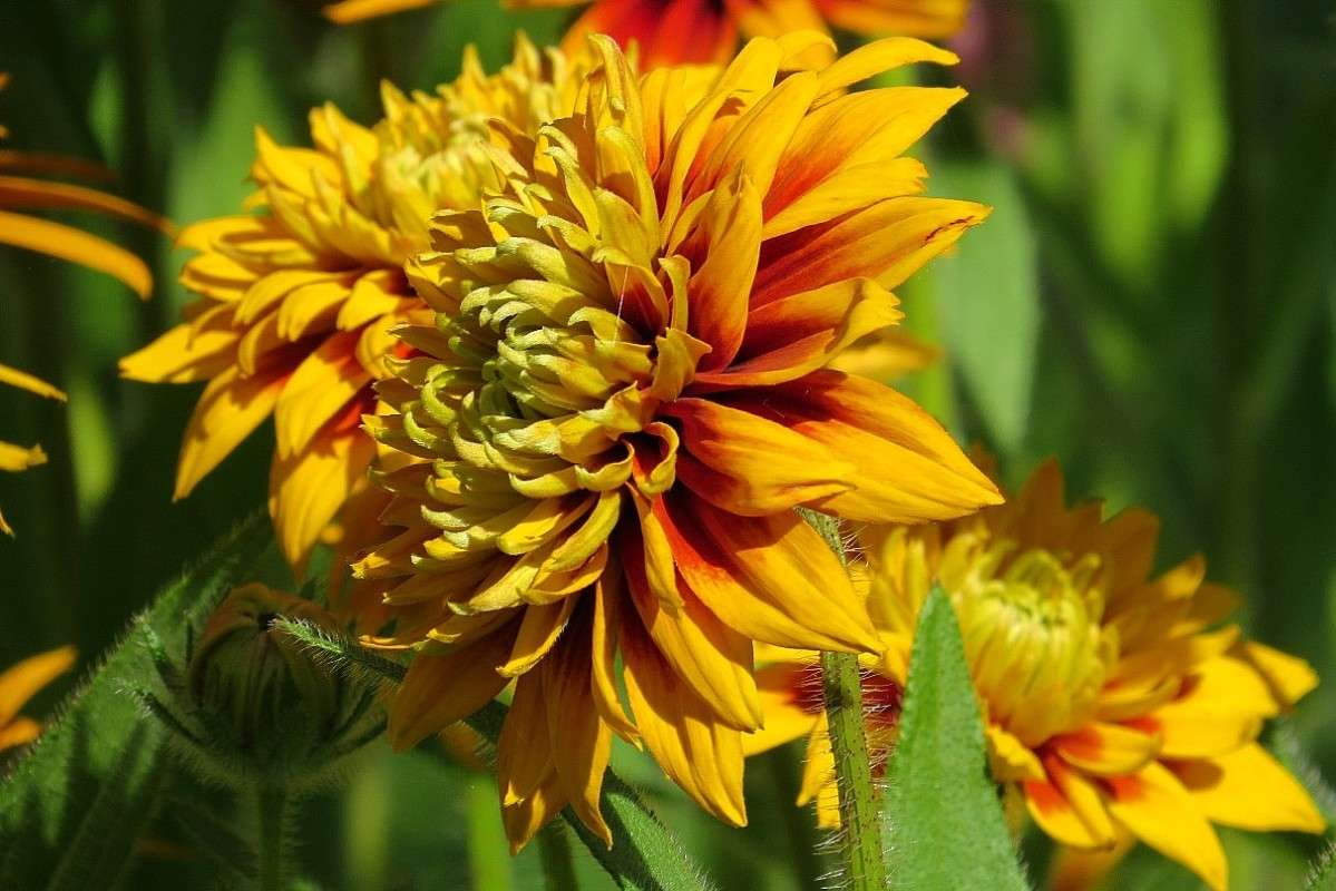 ���� ... ))) ����� Natali  ��������� �� PhotoGeek.ru #������ ��� ������� #����� ��������������