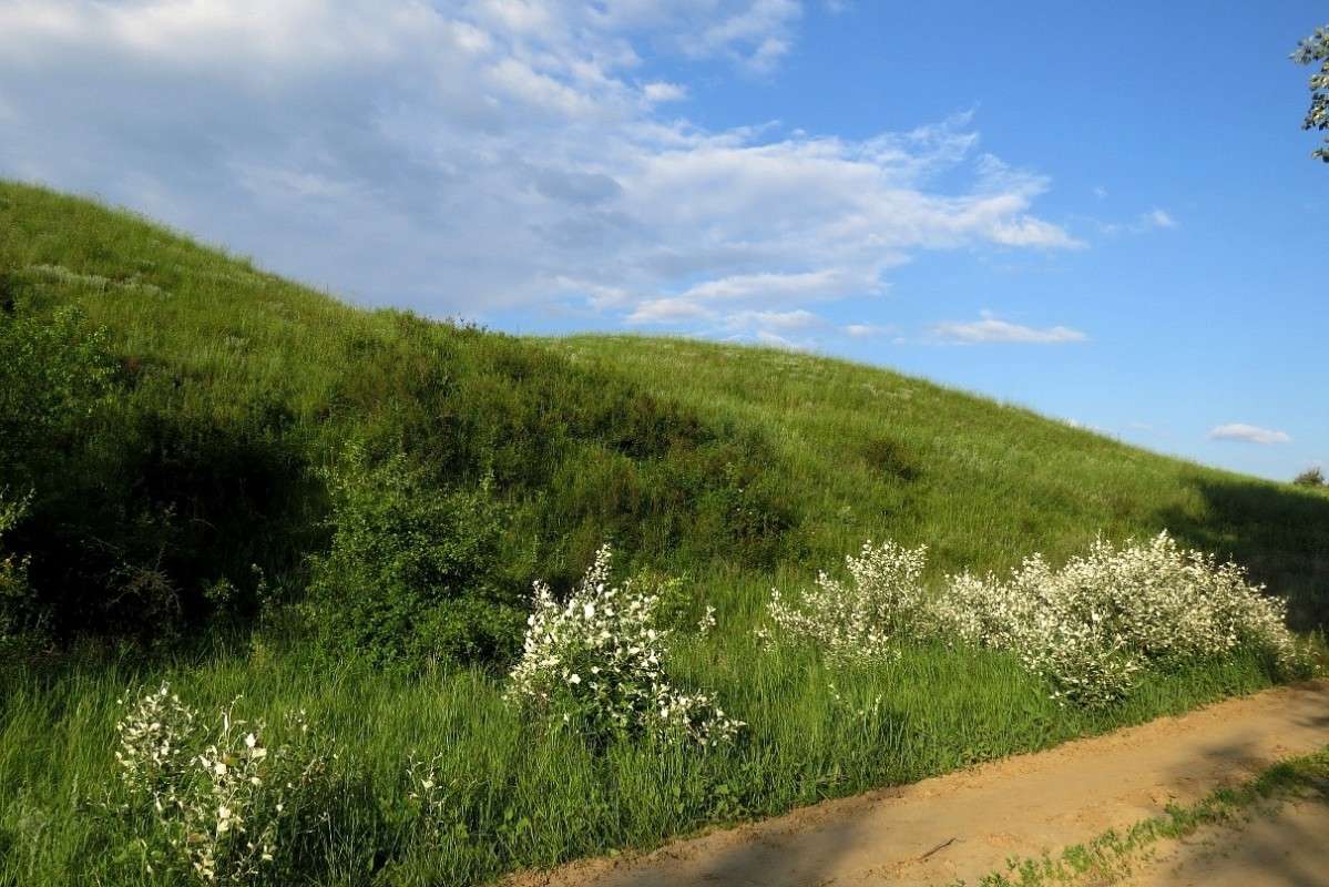 ���������� ������ ) ����� Natali  ��������� �� PhotoGeek.ru #������ ��� �������