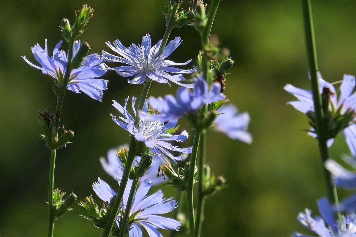 ... ����� Natali  ��������� �� PhotoGeek.ru #������ ��� ������� #����� ��������������