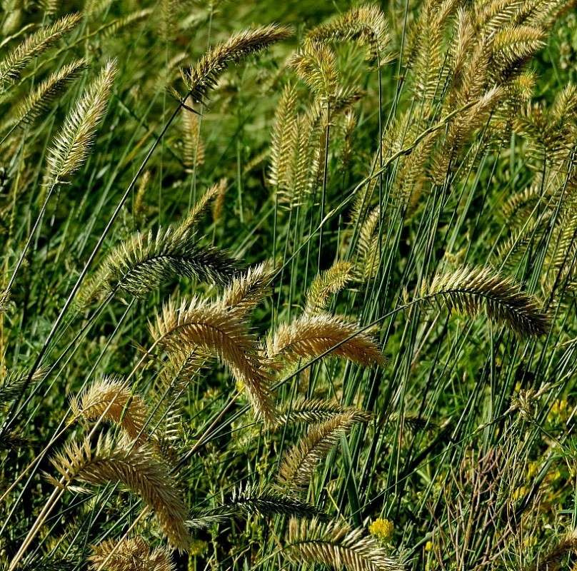 �����, ����� ... ����� Natali  ��������� �� PhotoGeek.ru #������ ��� ������� #����� ��������������