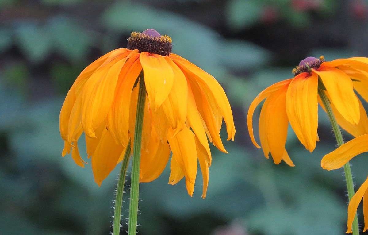 ����� ... ) ����� Natali  ��������� �� PhotoGeek.ru #������ ��� ������� #����� ��������������