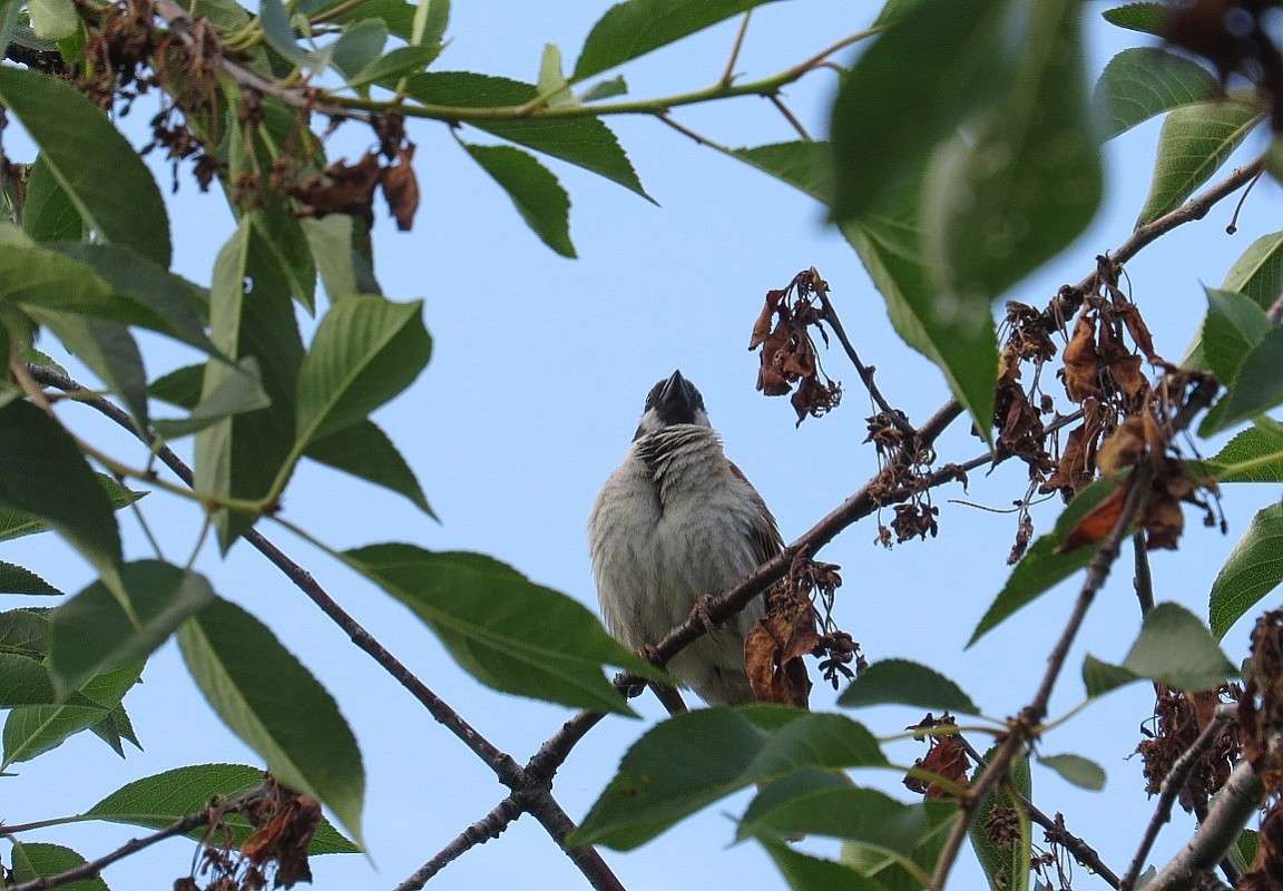 ����������� ))) ����� Natali  ��������� �� PhotoGeek.ru #�������� ��� #������ ��� ������� #����� ��� ��� ��������� #����� ��������������