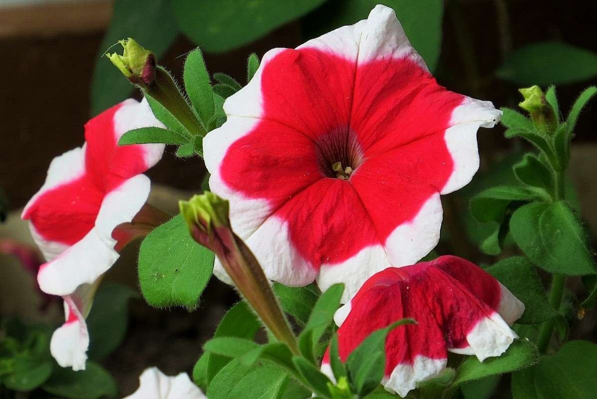 ... ����� Natali  ��������� �� PhotoGeek.ru #������ ��� ������� #����� ��������������