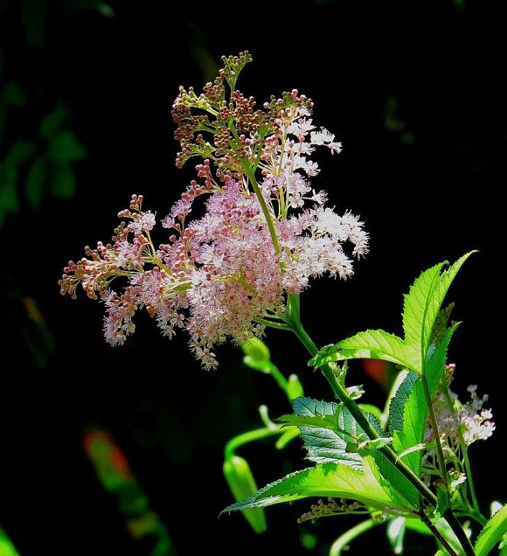 ... ����� Natali  ��������� �� PhotoGeek.ru #������ ��� ������� #����� ��������������