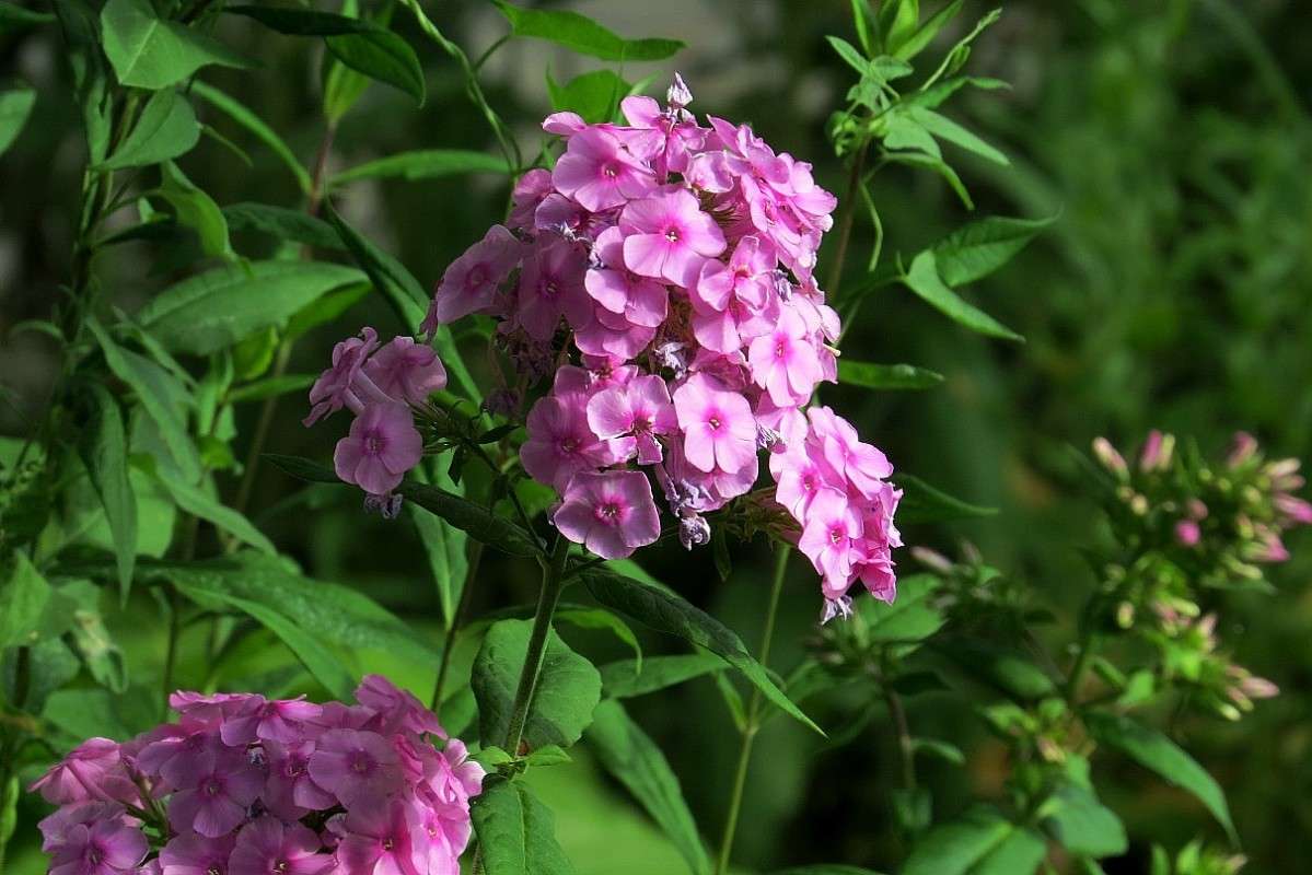 ... ����� Natali  ��������� �� PhotoGeek.ru #������ ��� ������� #����� ��������������