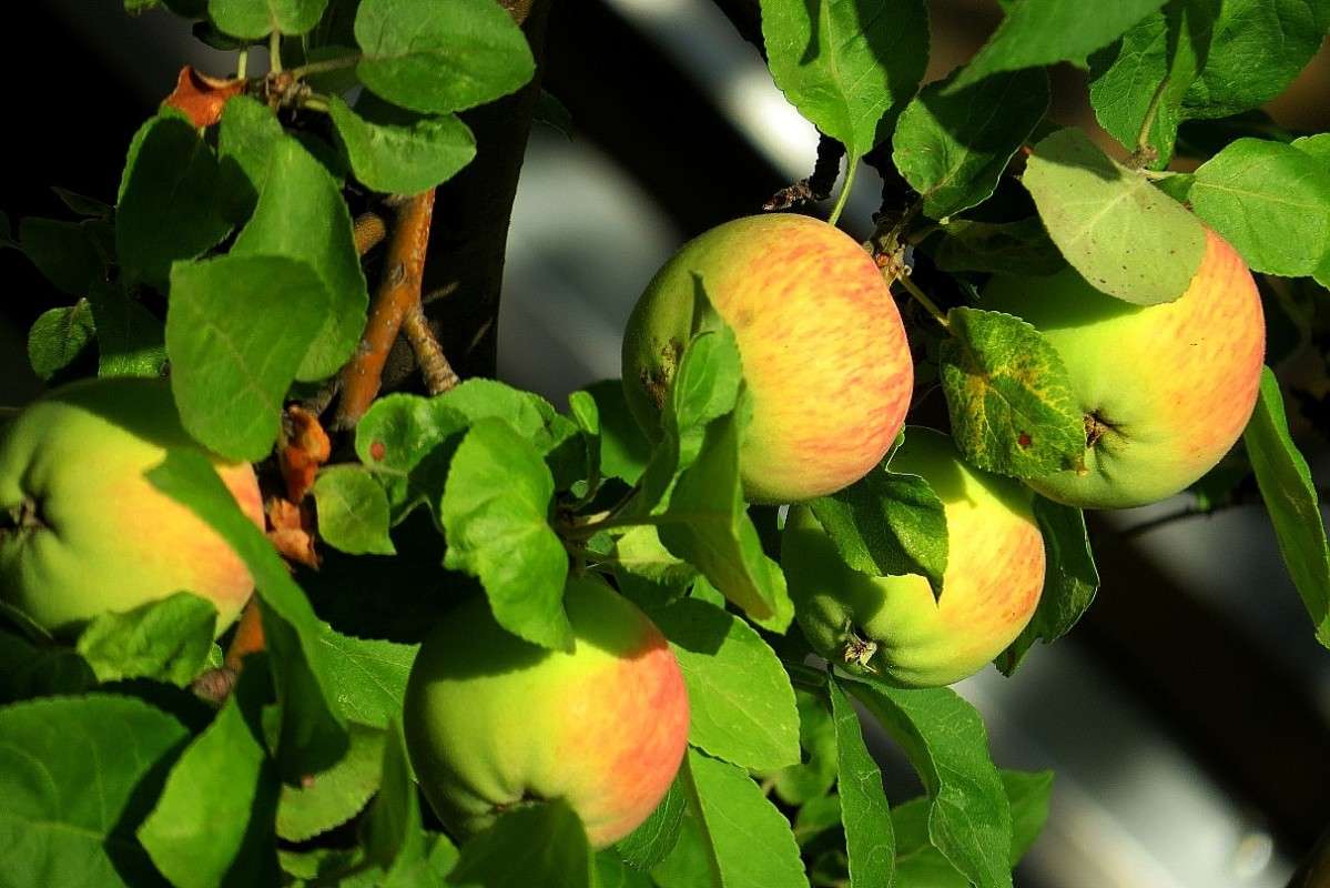 ... ����� Natali  ��������� �� PhotoGeek.ru #������ ��� ������� #����� ��������������