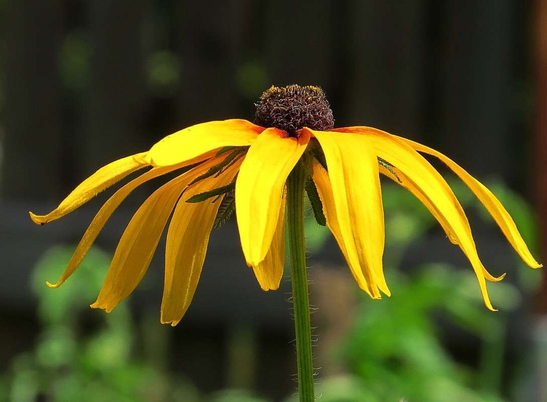 ... ����� Natali  ��������� �� PhotoGeek.ru #������ ��� ������� #����� ��������������